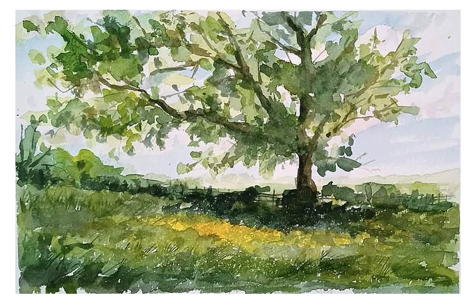 Buttercups near Ripley watercolour painting by Steve Fairhurst
